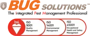BugSolutions logo