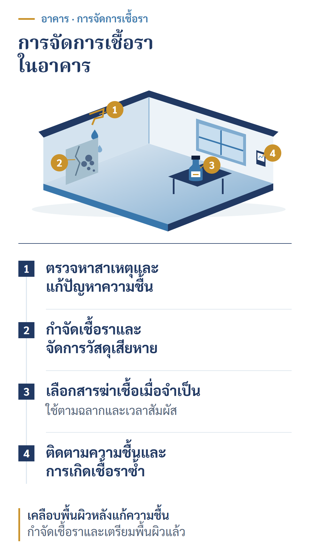 ลำดับการจัดการความชื้น กำจัดเชื้อรา เลือกใช้สารฆ่าเชื้อ และติดตามสภาพพื้นที่